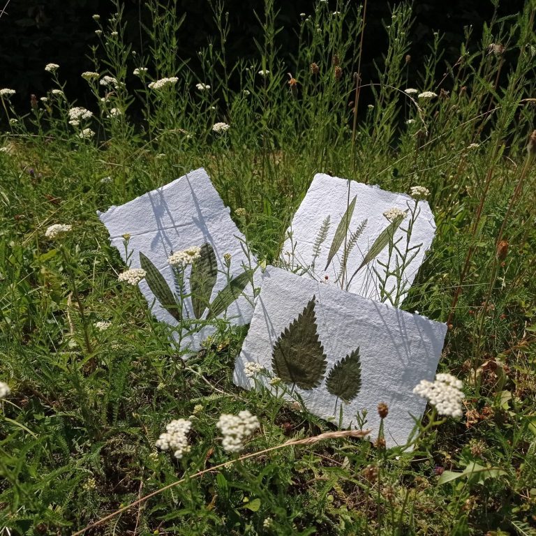 Drei weiße handgeschöpfte Papierbögen mit Pflanzen- motiven in einer Wiese umgeben von Blumen.