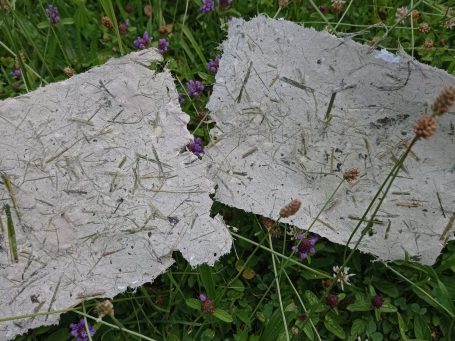 Zwei handgeschöpfte Papiere mit Grasstücken auf grüner Wiese und kleinen lila Blumen.