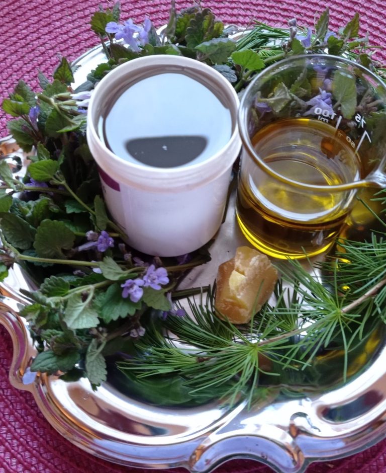 Weißer Becher mit Pech und Glas mit Pflanzenöl, umgeben von frischen Kräutern und lila Blüten.