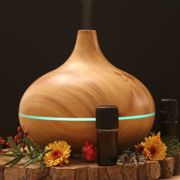 Farn in der Sonne Sonnendurchflutetes Farnblatt zwischen herbstlichem Laub im Wald.